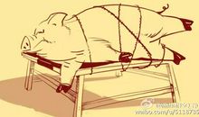 瞎猫抓个死老鼠歇后语