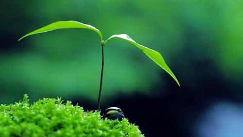 人生感悟与人生哲学经典