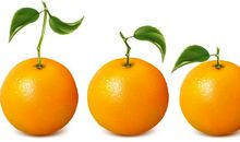 橘子像什么比喻句