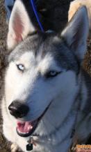 冠层和肮脏的脸