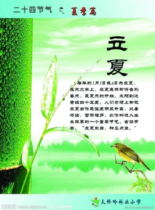 关于环保的谚语是什么