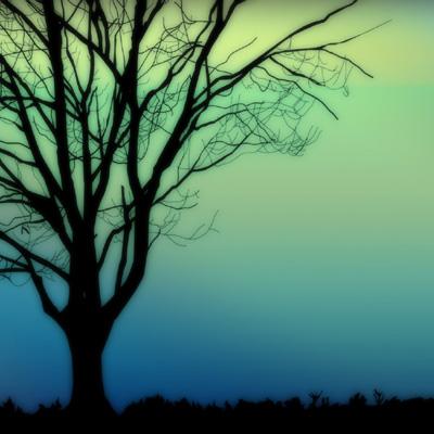 寂寞人生的签名