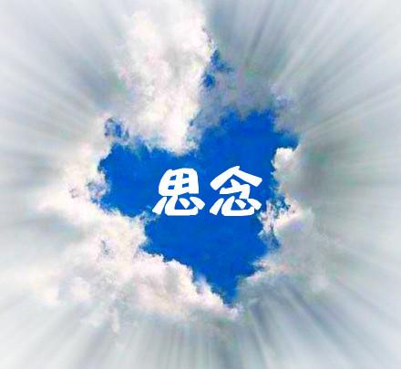 情人小姐一句话