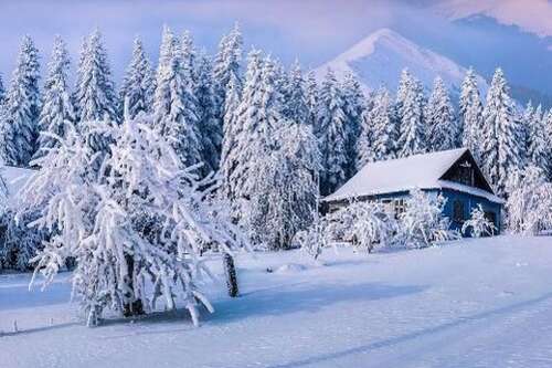 关于大雪的寓言