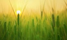 关于变通的名言