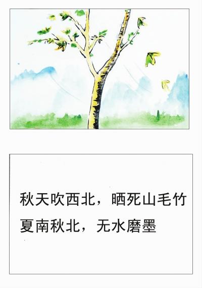 关于动物天气的谚语