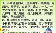描写小草样子的句子
