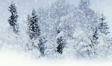 关于风雪的句子