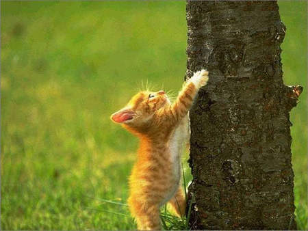 活出自己的侵略性，过上更好的生活。 1个