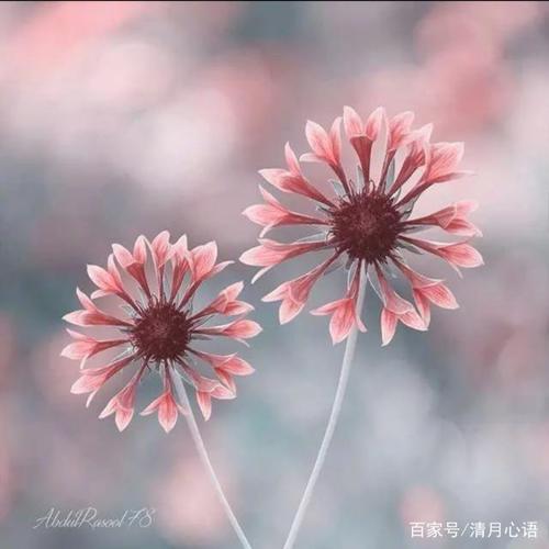 人生感悟的经典语录