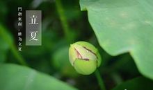 关于立夏的谚语