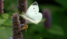 描写同学情的诗句