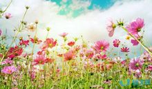 描写春天的唯美短句