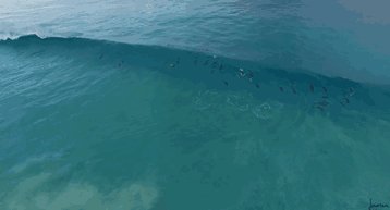 波浪的隐喻是什么