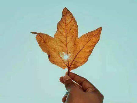 过去的一切都是序幕，未来的一切都是美好的