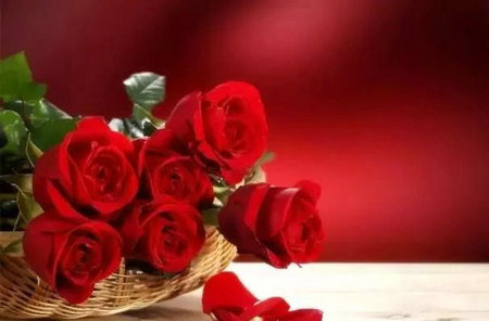 过去的一切都是序幕，未来的一切都是美好的1