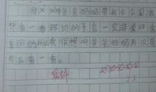 描写迎春花句子