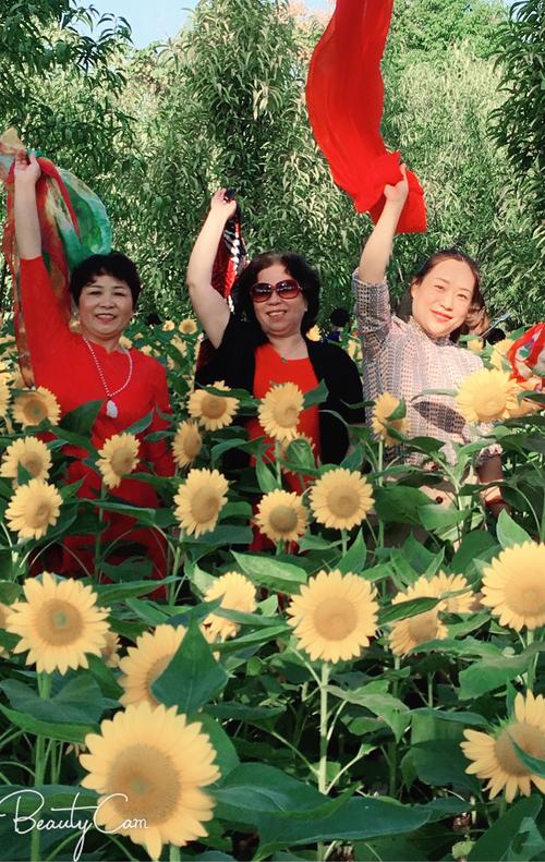 希望友谊能够延续的声明