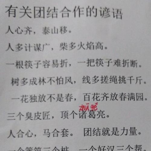 关于团结与合作的谚语