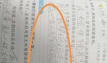 如果造句大全二年级