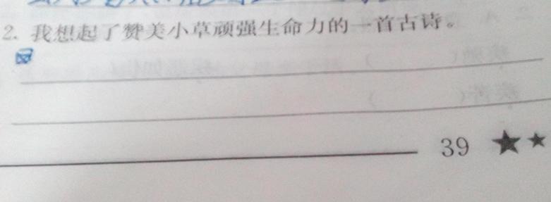 描述小草的顽强诗句