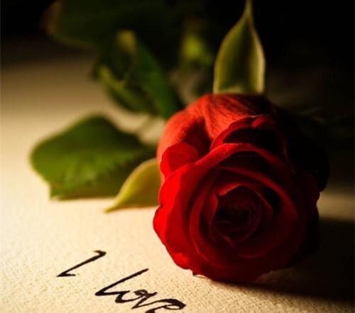 在朋友圈中发送漂亮的句子