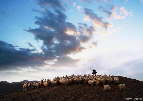 充满希望的短语