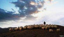 对生活充满希望的短句