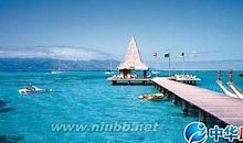 关于大海的现代诗句