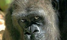 关于鄙视人的话