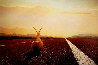 当一切浮出水面时，您必须大胆，在逆境中必须保持冷静1