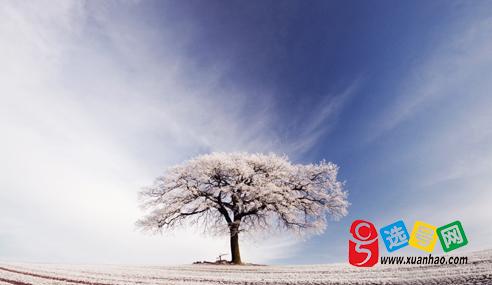 温暖的冬天的问候