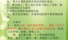 有关春雨的比喻句