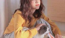 风很轻，思念却很透明，怎奈却跨不过爱情