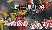 周二快乐祝福语