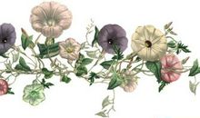 送花祝福语女性朋友