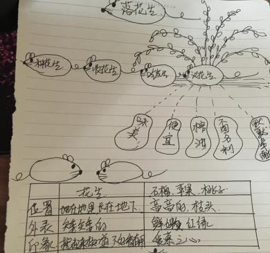 2019年互联网搞笑句子