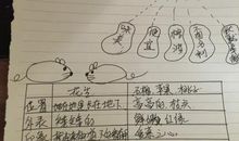 2019网络搞笑句子