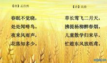 好听的古诗词句子