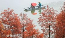 风浪中行船歇后语