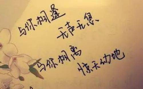 谈论情绪词组，以了解爱情社会