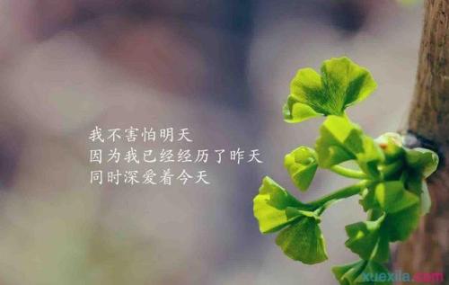 此刻的情绪短语