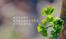 此刻的心情短语