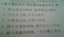 比喻春雨的句子