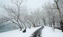 描写初雪的句子