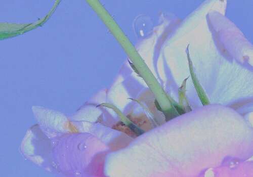 根深蒂固的情感文案,斗隐最热门的情感文案