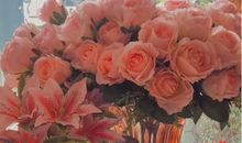 经典有气质内涵的句子 有深度有品位的经典句子