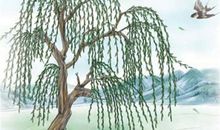 表达思念的古诗词