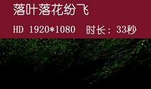 描写落叶纷飞的句子