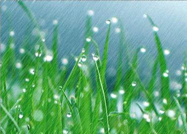 春雨是什么句子